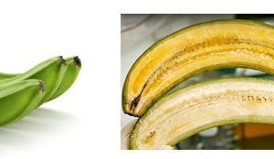 Em breve, ela poderá estar sendo vendida na sua loja