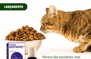 Medicamento para prevenção de problemas gástricos