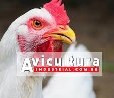 Tudo que você precisa saber sobre os sistemas de produção de ovos Leia mais sobre esse assunto em https://www.aviculturaindustrial.com.br/imprensa/tudo-que-voce-precisa-saber-sobre-os-sistemas-de-producao-de-ovos/20190326-113131-T740 © 2019. Todos direitos reservados a Gessulli Agribusiness. Este material não pode ser publicado, transmitido por broadcast, reescrito ou redistribuído sem autorização.