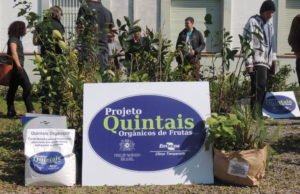 Philip Morris Brasil celebra parceria com a Embrapa para a continuidade do projeto quintais orgânicos de frutas