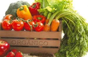 Instituições tem 90 dias para elaborar Plano de Agroecologia, Produção Orgânica e Extrativismo de MS