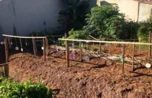 Terreno baldio de Balneário se transforma em horta urbana comunitária