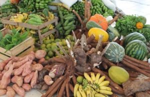 Pacto de Milão: RJ sedia fórum internacional de segurança alimentar