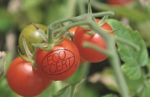 Brasil está à frente do mercado de orgânicos na América Latina