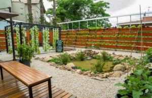 Super Saudável. 1o supermercado saudável do país