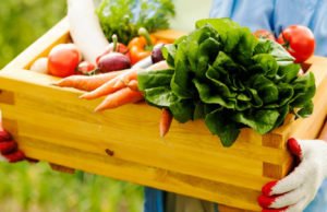 Falta de comercialização e logística entravam orgânicos