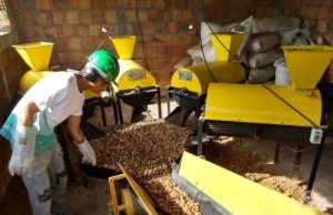 Muito além do orgânico…