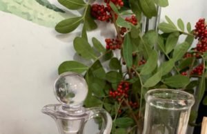 Negócio e preservação do meio ambiente caminham lado a lado