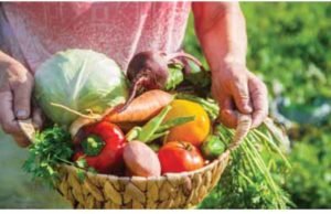 IFOAM: A voz do movimento orgânico global.