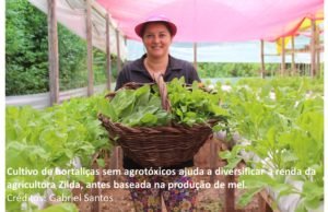 Consumo aumenta com estilo de vida saudável