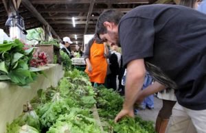 Estudo aponta relação entre alegria e produtos orgânicos