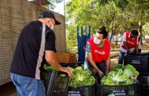Produção de agricultura familiar da região de Sorocaba beneficiará quatro mil