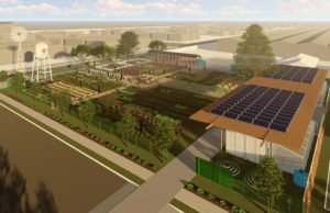 Curitiba ganhará Fazenda Urbana, um centro de referência para o cultivo de alimentos orgânicos e energias sustentáveis