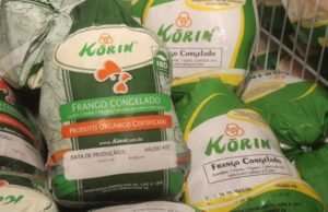 Korin amplia vendas e intensifica aposta na área de inovação