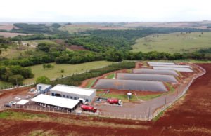Paraná investe em programas para tornar o setor agropecuário cada vez mais sustentável