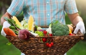 Agricultura lança campanha para ampliação de consumo de orgânicos