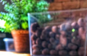 Castanhas e frutas drageadas com chocolates especiais e artesanais.