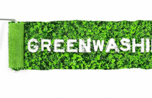 Green Claims: A luta contra o greenwashing deve ser baseada em metodologias que promovam a transição para sistemas alimentares mais sustentáveis