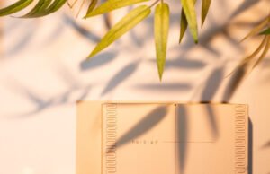 O pioneirismo da Herbia e a importância das certificações