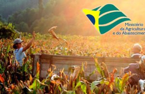 Mapa faz reunião para debater medidas de fortalecimento do mercado de orgânicos