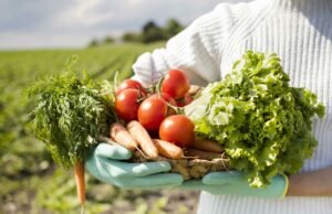 Oferta de orgânicos produzidos no país falha em suprir demanda, apesar do mercado