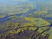 Organizações ambientais pressionam por veto ao PL 2.159/2021 aprovado no Congresso