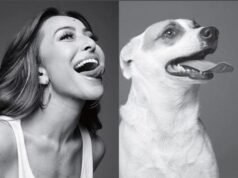 Dia do Vira-Lata reacende debate sobre abandono animal