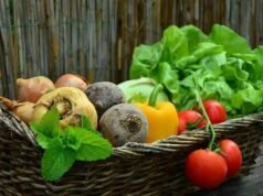 Dieta eco-friendly: a tendência de se alimentar de forma sustentável e consciente