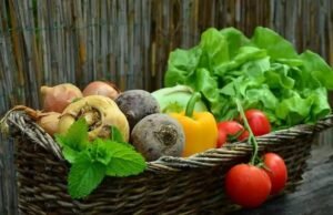 Dieta eco-friendly: a tendência de se alimentar de forma sustentável e consciente