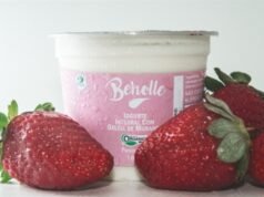 Iogurtes orgânicos impulsionam crescimento de agroindústria familiar no Rio Grande do Sul