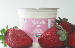 Iogurtes orgânicos impulsionam crescimento de agroindústria familiar no Rio Grande do Sul