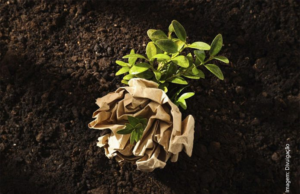 “O resíduo deve ser visto como um recurso”: a urgência da compostagem e da consciência ambiental