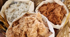 Algodão colorido orgânico da Paraíba chega à moda internacional em tecidos com fio Lycra® de base bio-derivada