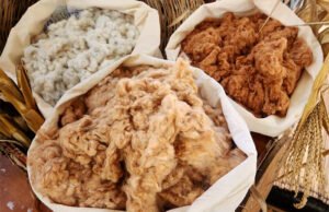 Algodão colorido orgânico da Paraíba chega à moda internacional em tecidos com fio Lycra® de base bio-derivada
